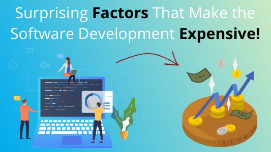software-development-expensive