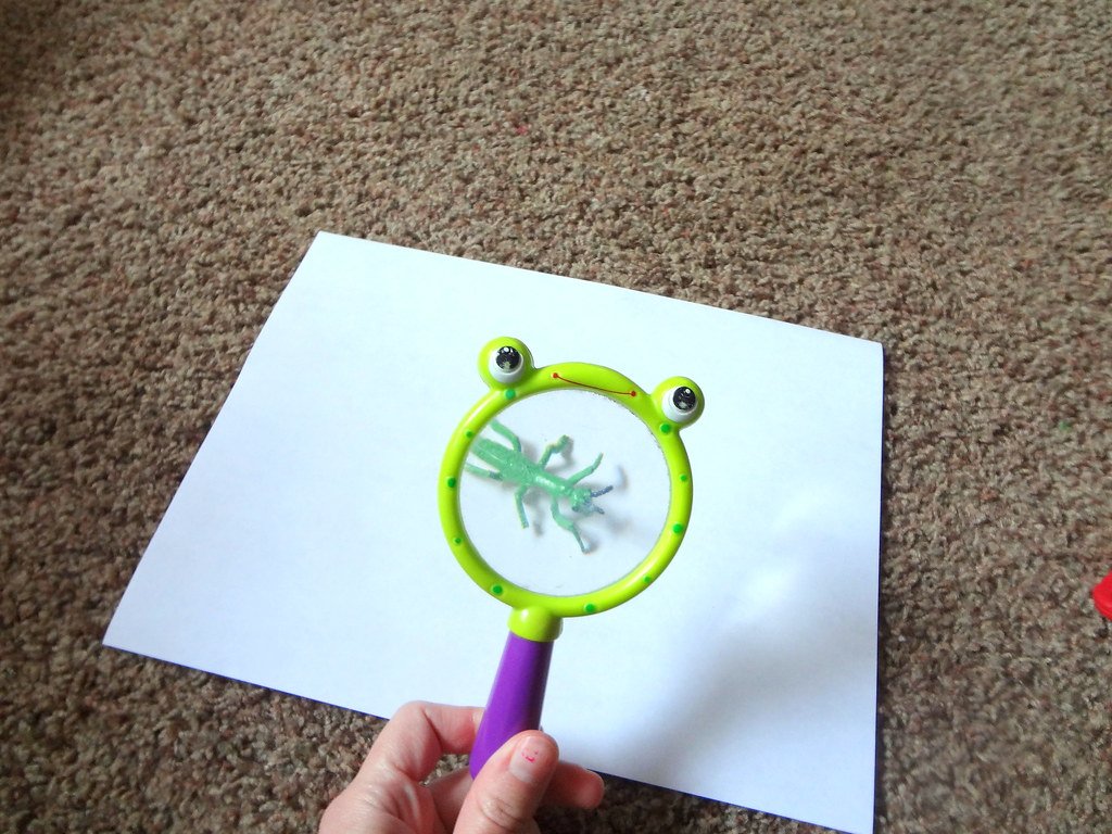 A magnifying glass used to inspect fine detail
